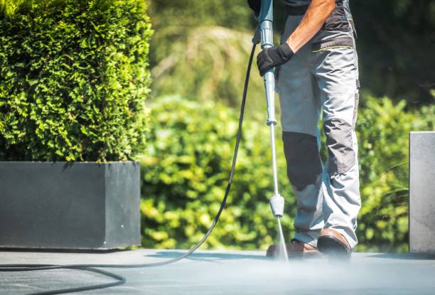 Best Building Exterior Washing  in Shenandoah, PA